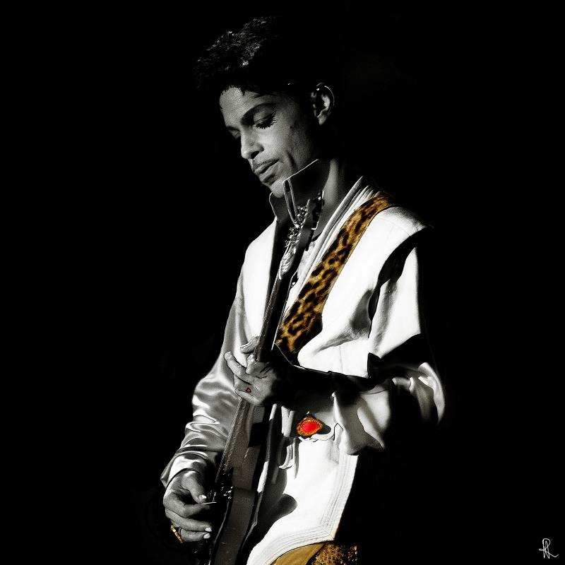 Image result for prince on tour 2013